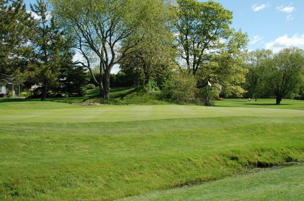 view of hole 1 from the fairway